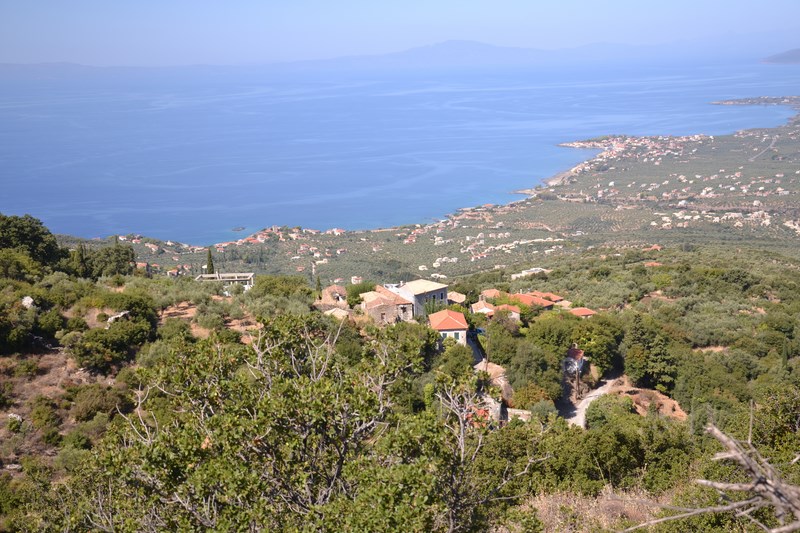 DSC_0030 (Kopiowanie).JPG