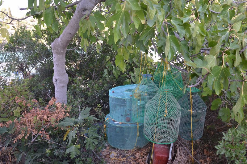 DSC_0100 (2) (Kopiowanie).JPG