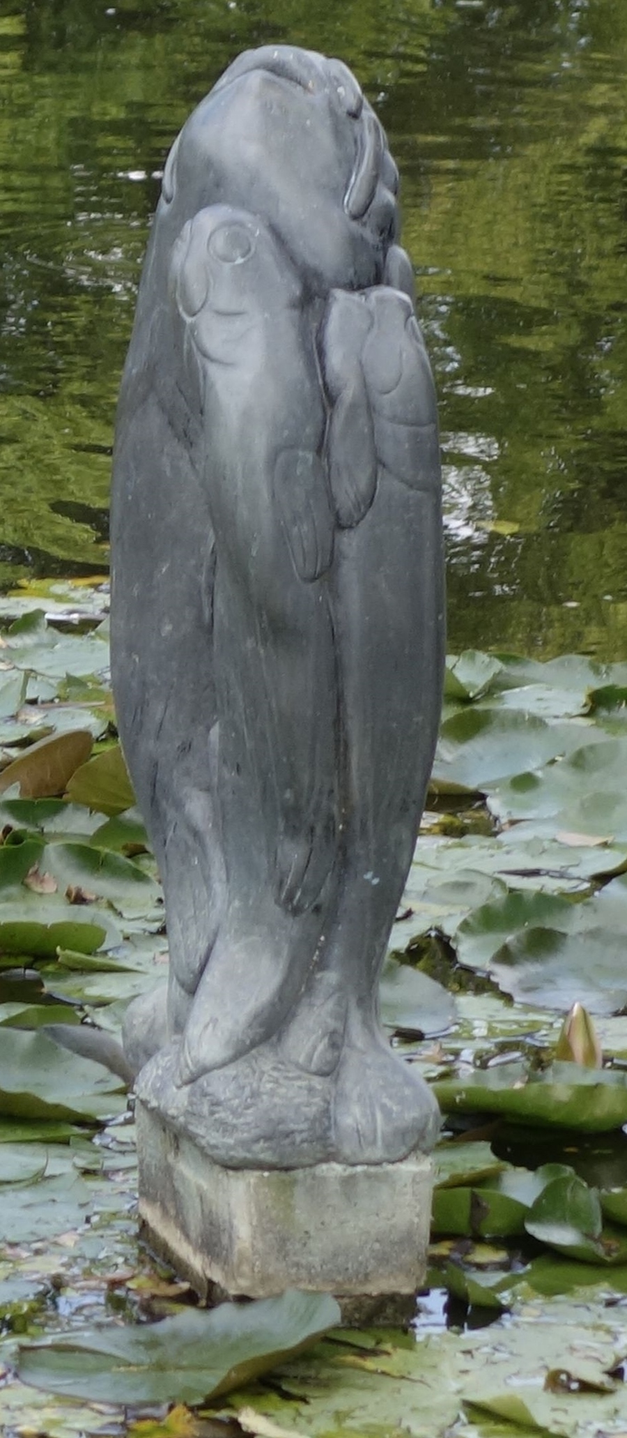 Bez tytułu (Copy).jpg Bez tytułu (Copy).jpg