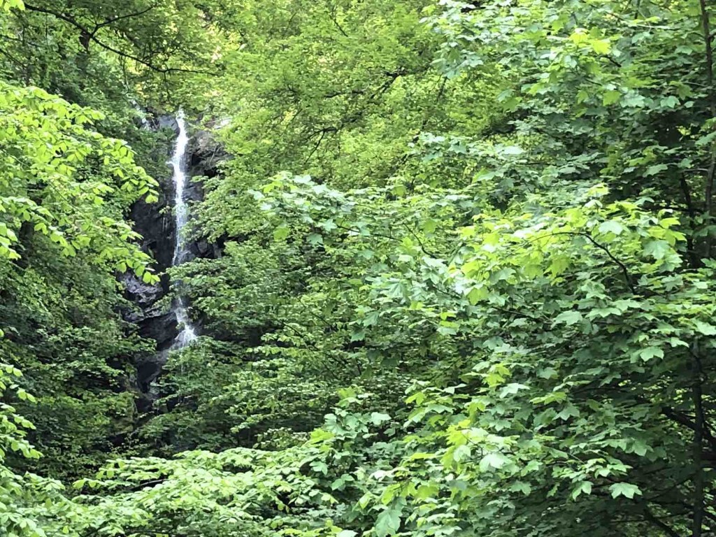 Viber-Bild_2023-05-28_20-58-05-950 (Medium).jpg