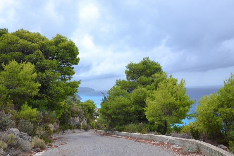 DSC_0371 (Kopiowanie).JPG