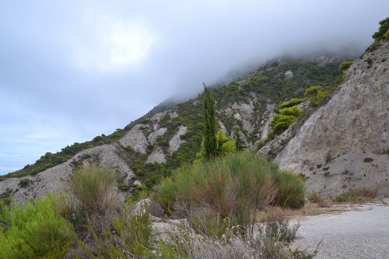 DSC_0377 (Kopiowanie).JPG