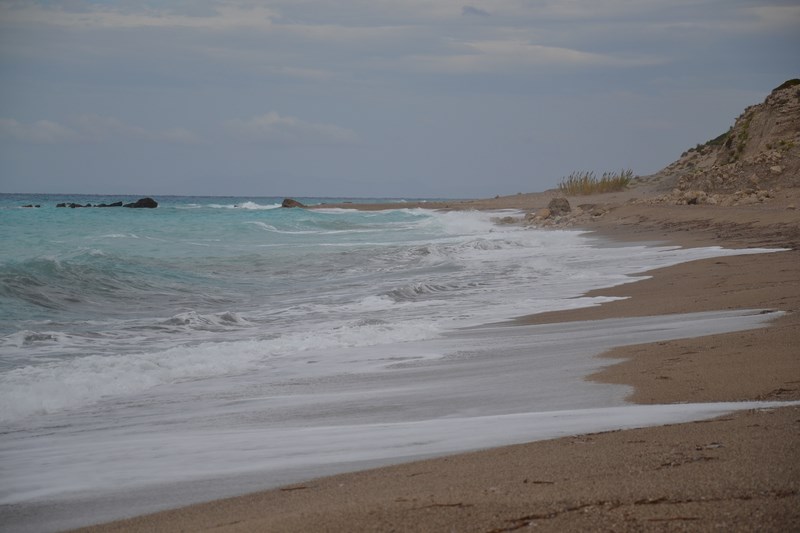 DSC_0406 (Kopiowanie).JPG