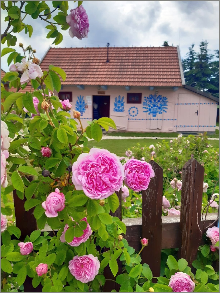 8-IMG-20230607-WA0021 (3).jpg