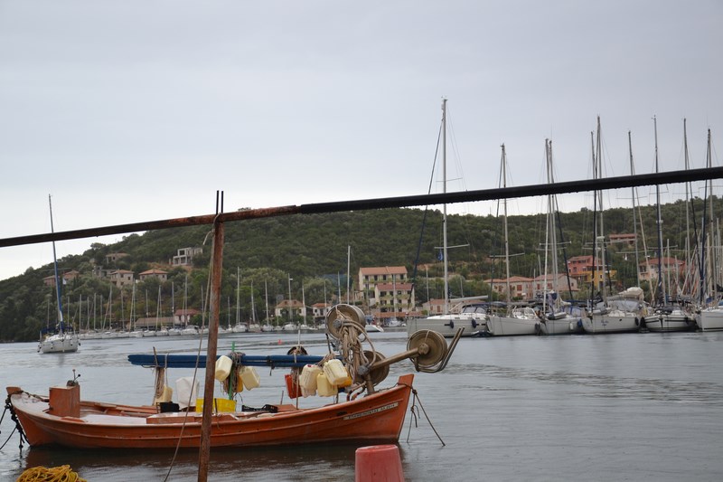 DSC_0589 (Kopiowanie).JPG