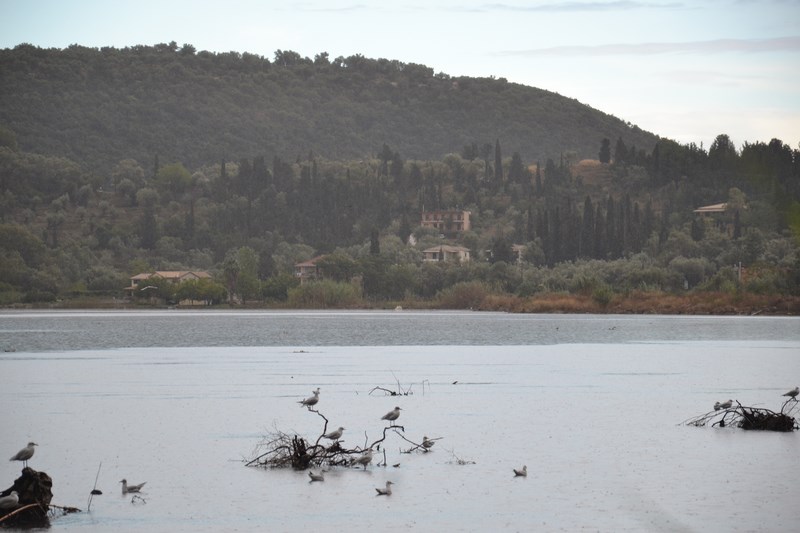 DSC_0618 (Kopiowanie).JPG