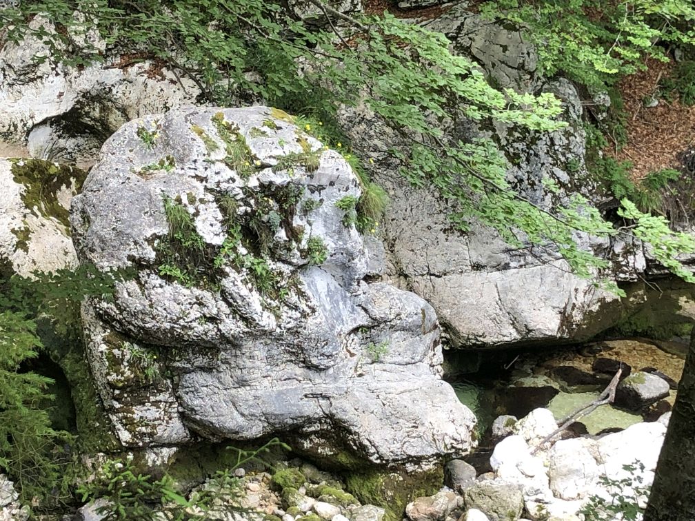 2023-06-24 13.10.51.jpg