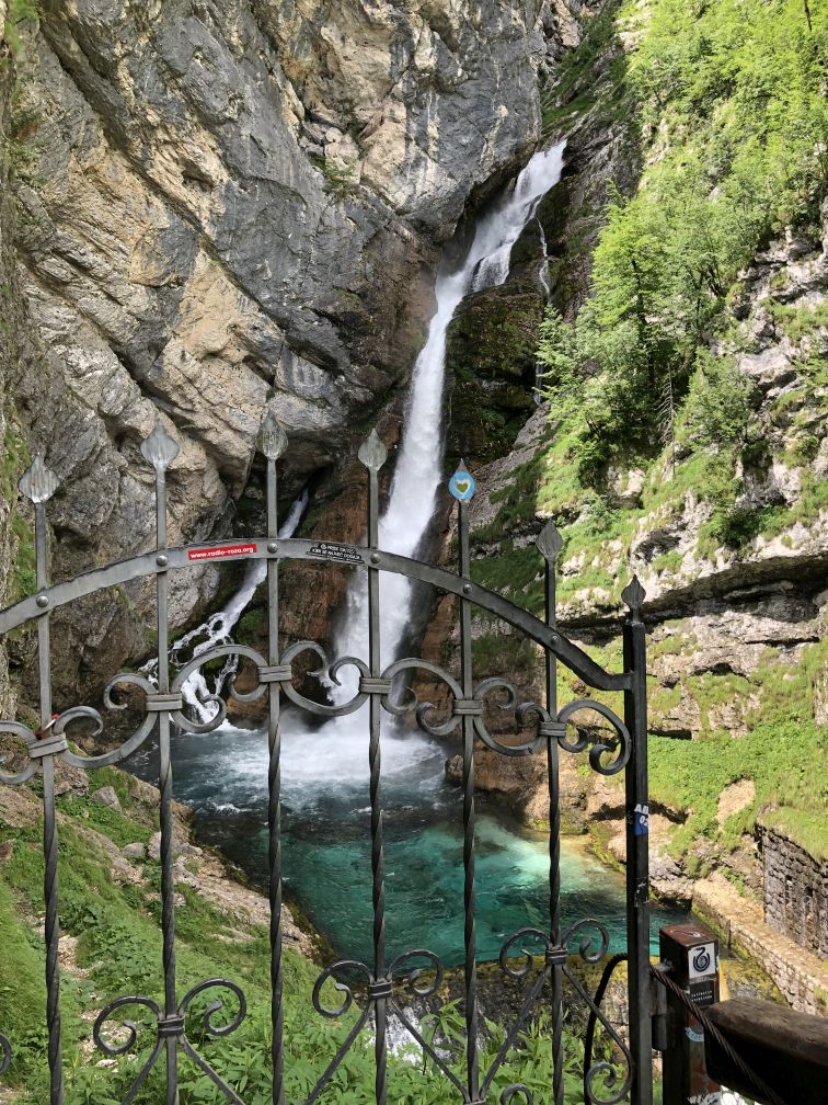 2023-06-24 13.37.46.jpg