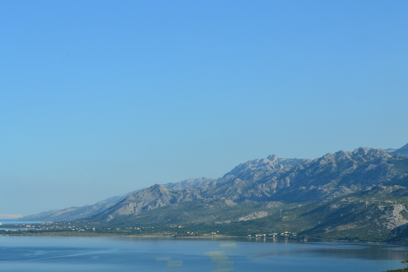 DSC_2290.JPG DSC_2290.JPG