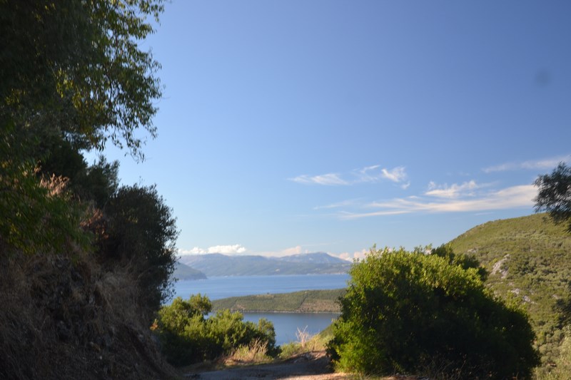 DSC_0719 (Kopiowanie).JPG