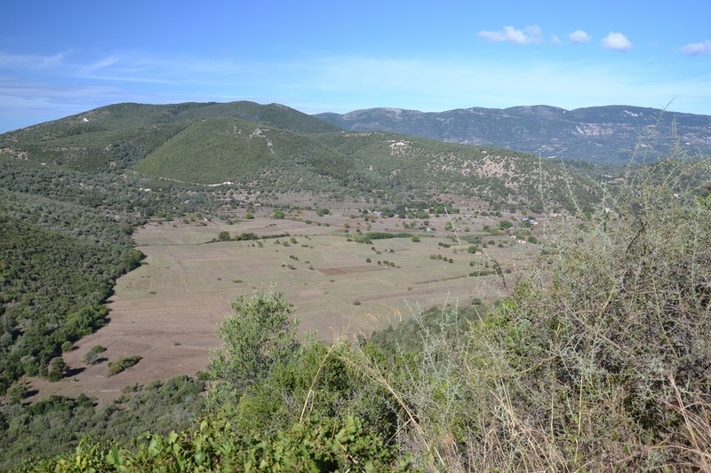 DSC_0727 (Kopiowanie).JPG