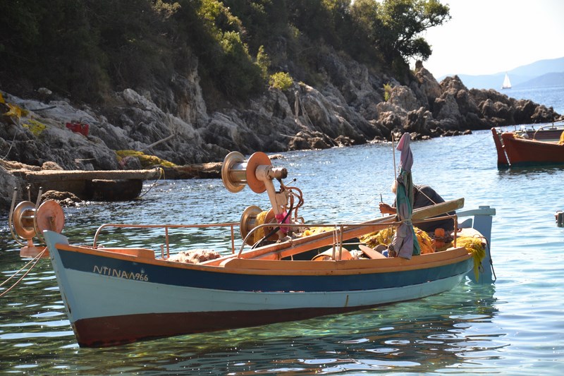 DSC_0773 (Kopiowanie).JPG