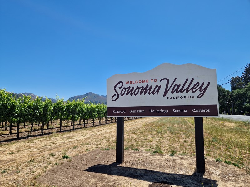 20230706_122546 (Kopiowanie).jpg