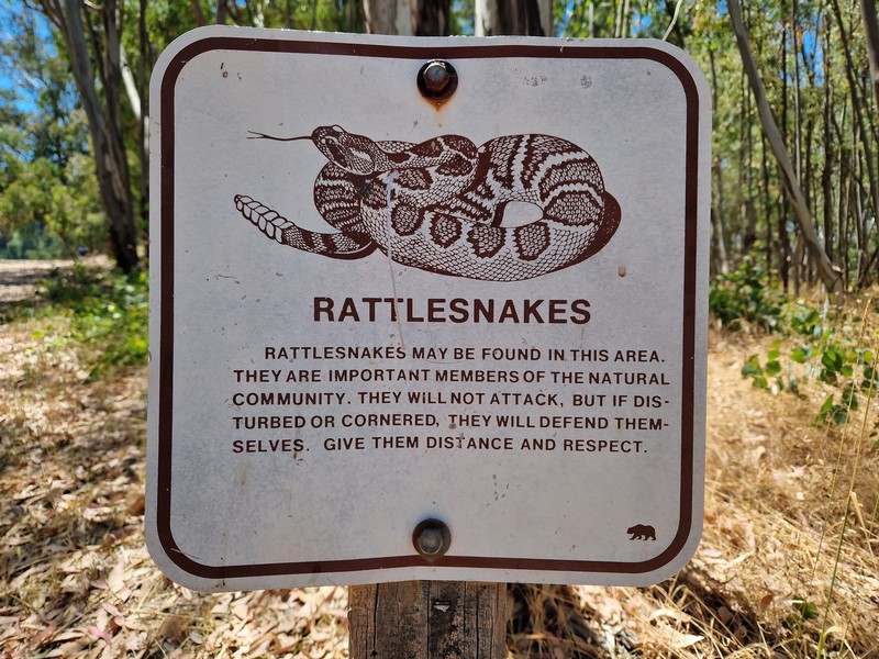 20230706_140418 (Kopiowanie).jpg