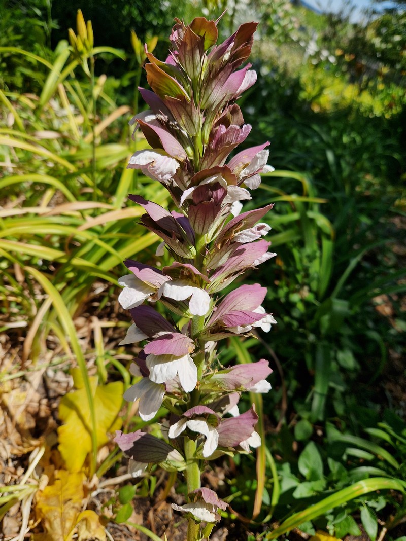 20230706_141403 (Kopiowanie).jpg