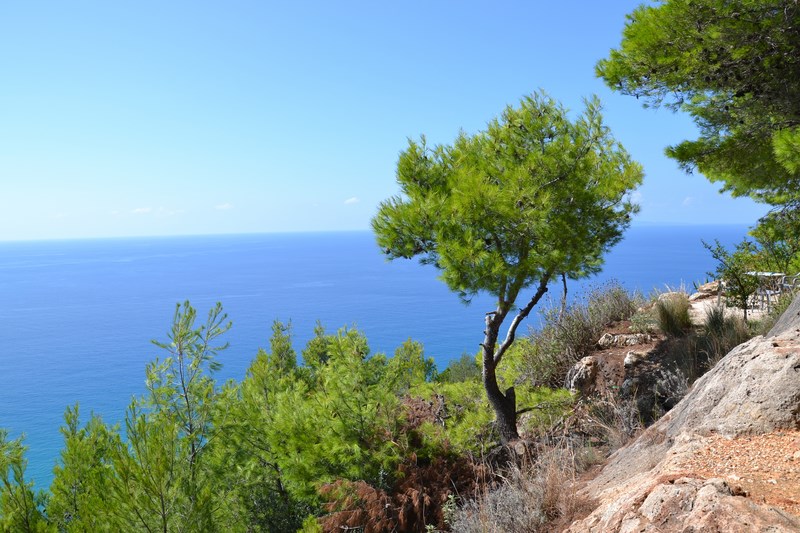 DSC_0940 (Kopiowanie).JPG