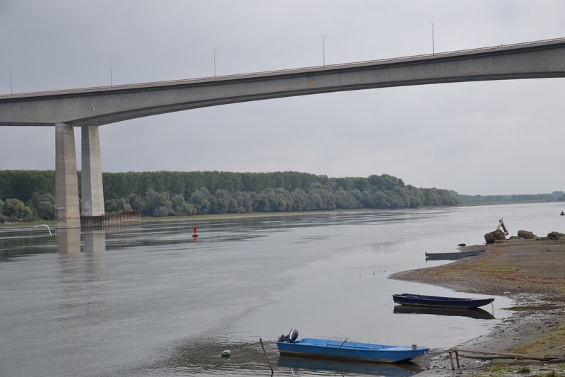 DSC_0991 (Kopiowanie).JPG