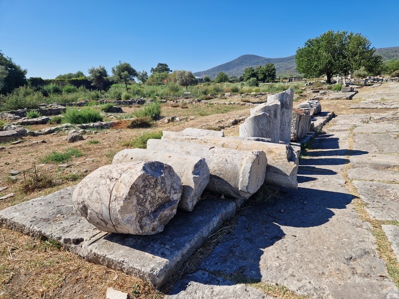 20230914_103221 (Kopiowanie) (Kopiowanie).jpg