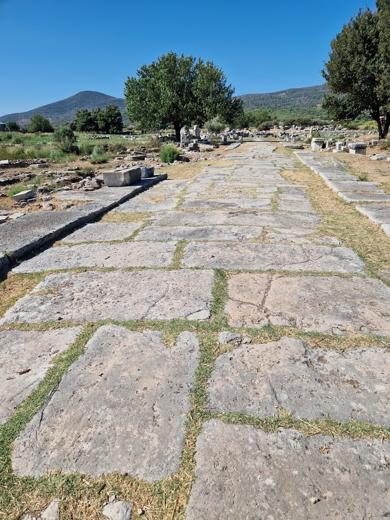 20230914_103246 (Kopiowanie) (Kopiowanie).jpg