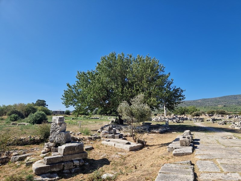 20230914_103317 (Kopiowanie) (Kopiowanie).jpg