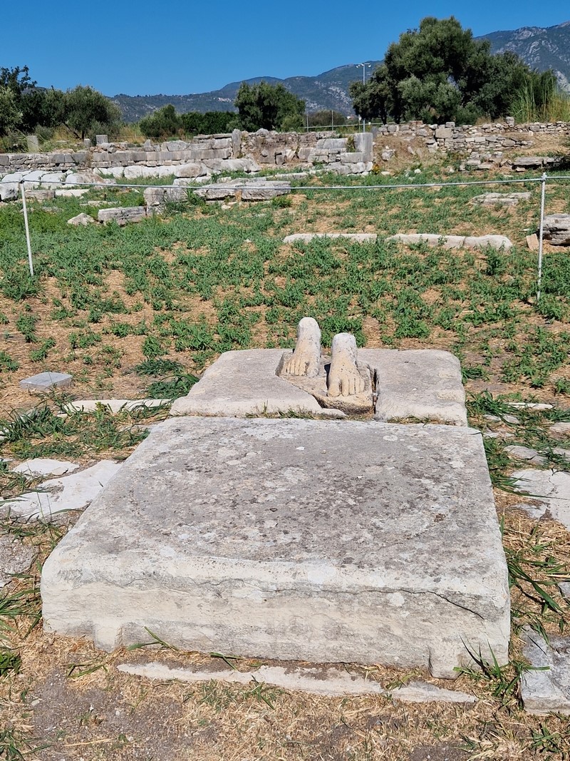 20230914_103517 (Kopiowanie) (Kopiowanie).jpg