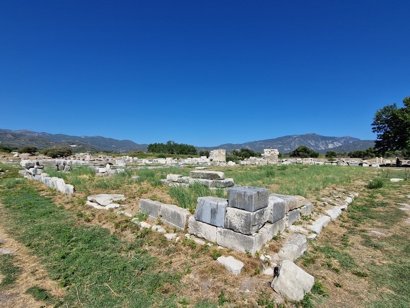 20230914_103737 (Kopiowanie) (Kopiowanie).jpg