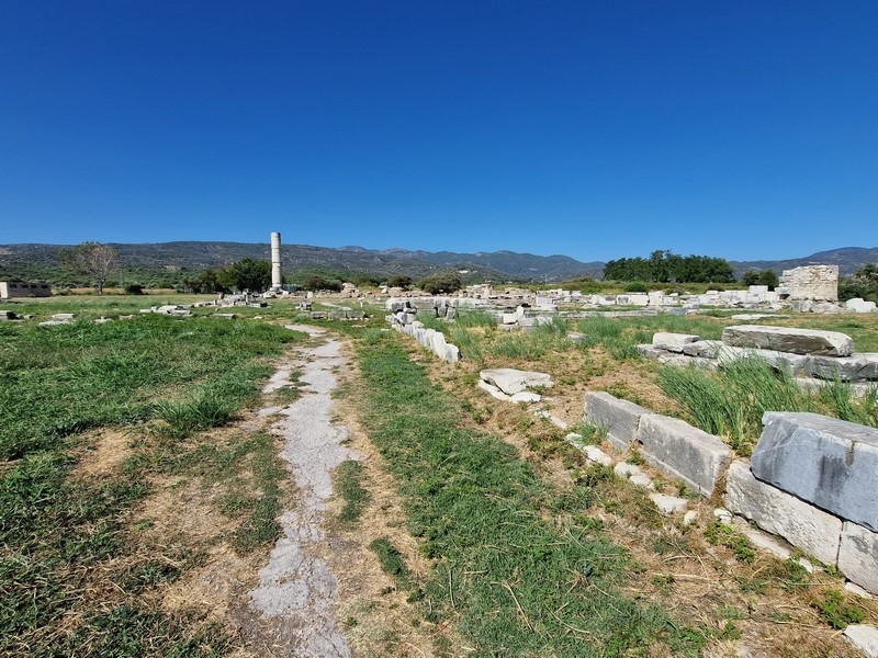 20230914_103742 (Kopiowanie) (Kopiowanie).jpg