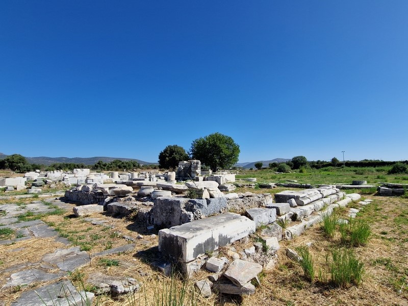 20230914_103923 (Kopiowanie) (Kopiowanie).jpg