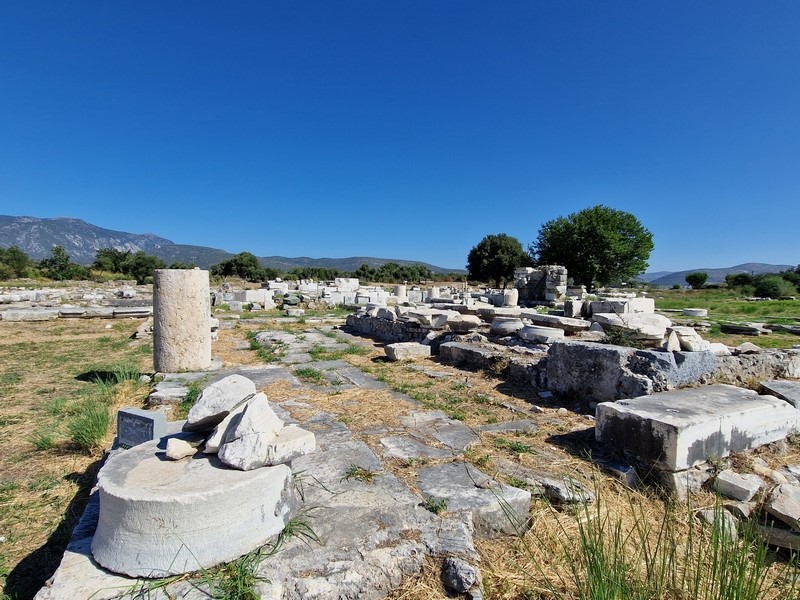 20230914_103931 (Kopiowanie) (Kopiowanie).jpg