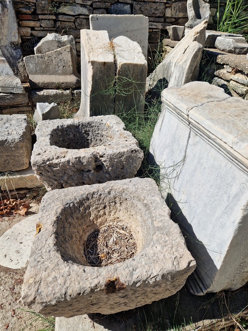 20230914_105456 (Kopiowanie) (Kopiowanie).jpg