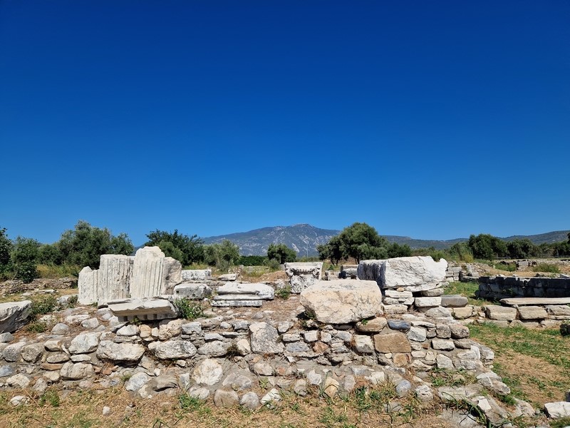 20230914_111320 (Kopiowanie) (Kopiowanie).jpg