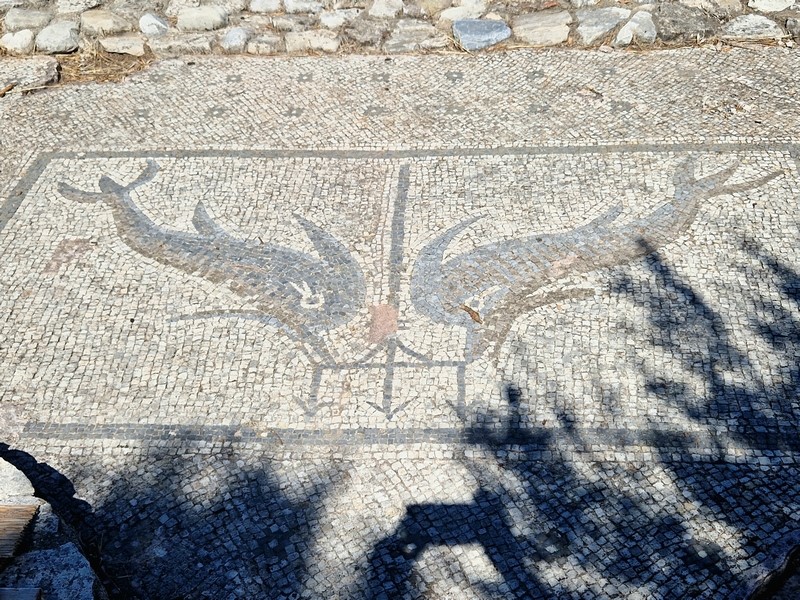 20230914_111920 (Kopiowanie) (Kopiowanie).jpg