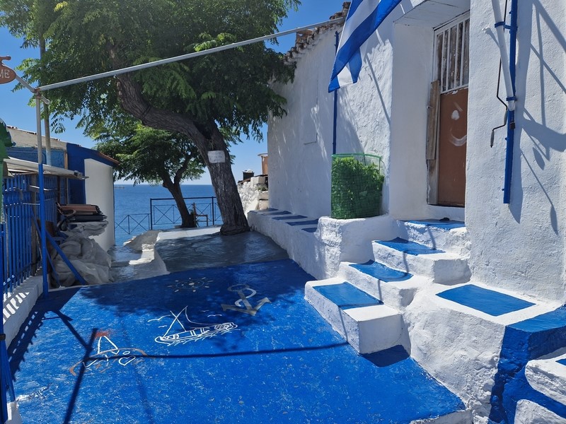 20230914_123712 (Kopiowanie) (Kopiowanie).jpg