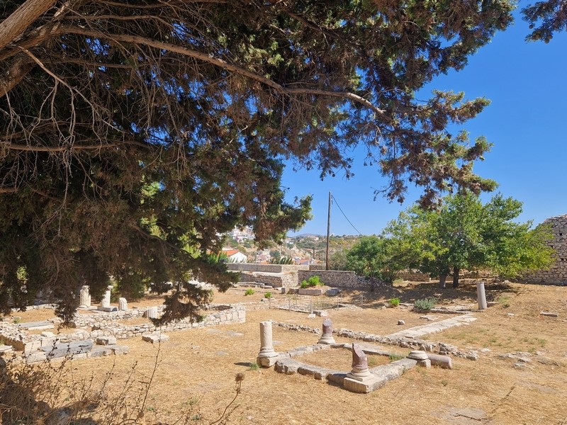 20230914_124435 (Kopiowanie) (Kopiowanie).jpg