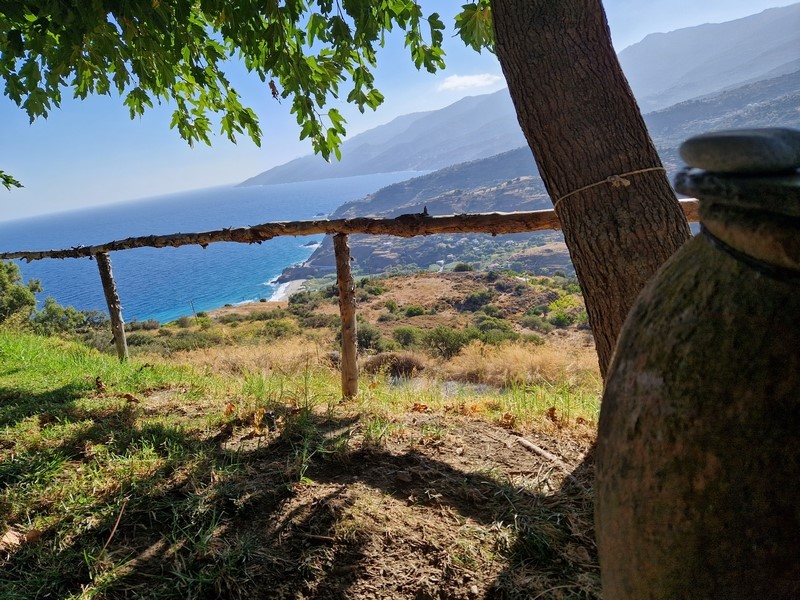 20230918_092910 (Kopiowanie) (Kopiowanie).jpg