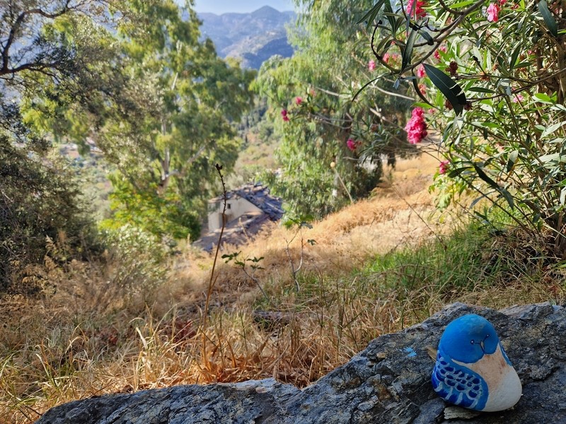 20230918_093614 (Kopiowanie) (Kopiowanie).jpg