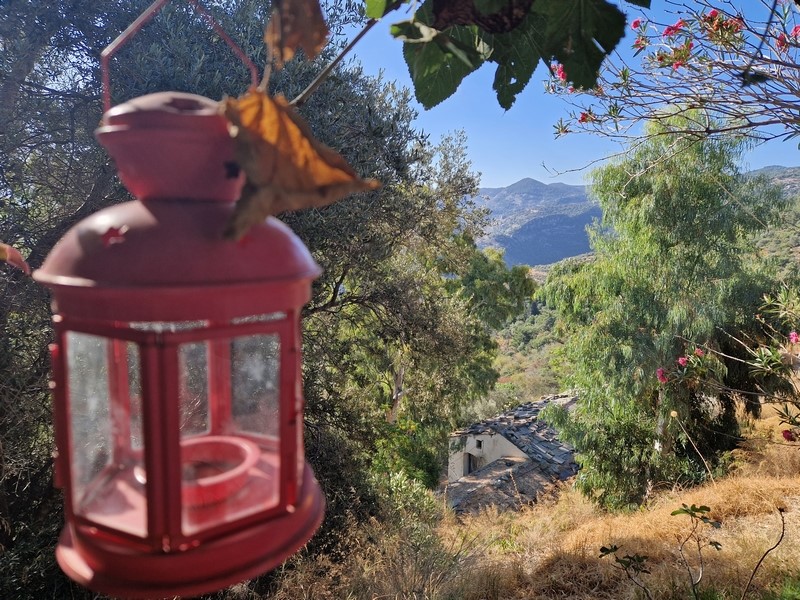 20230918_093628 (Kopiowanie) (Kopiowanie).jpg