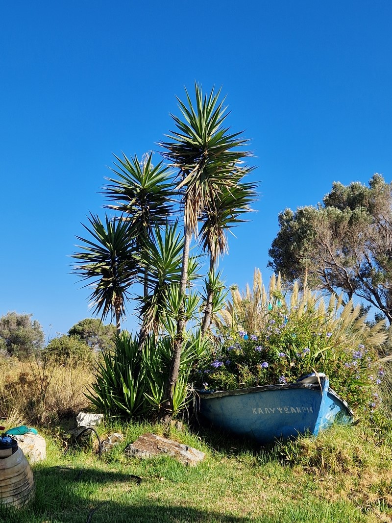 20230918_093823 (Kopiowanie) (Kopiowanie).jpg