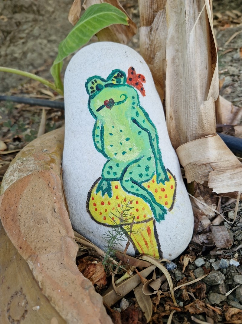 20230918_094019 (Kopiowanie) (Kopiowanie).jpg