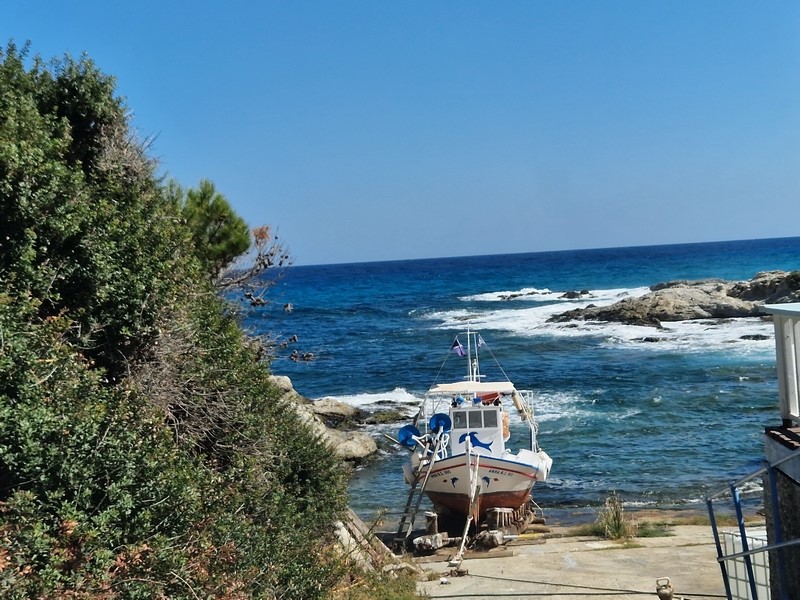 20230918_113028 (Kopiowanie) (Kopiowanie).jpg