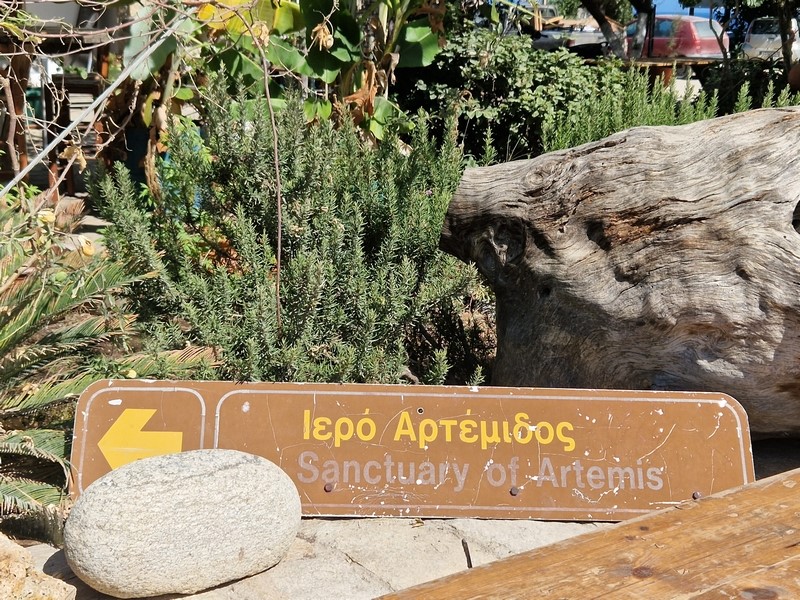 20230918_115947 (Kopiowanie) (Kopiowanie).jpg