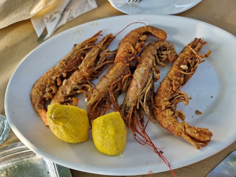 20230918_164512 (Kopiowanie) (Kopiowanie).jpg