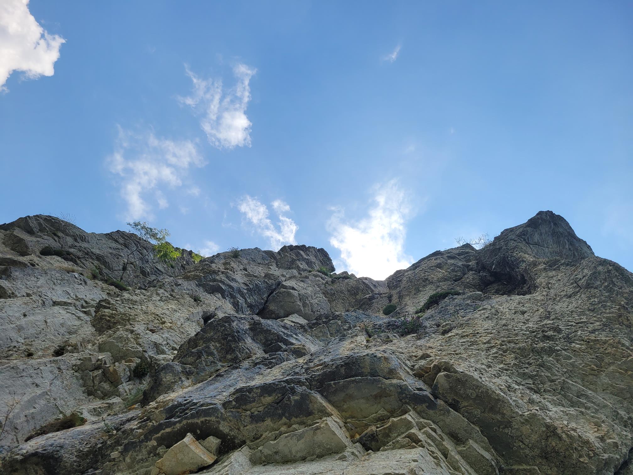 20230716_142050 (Copy) (2).jpg