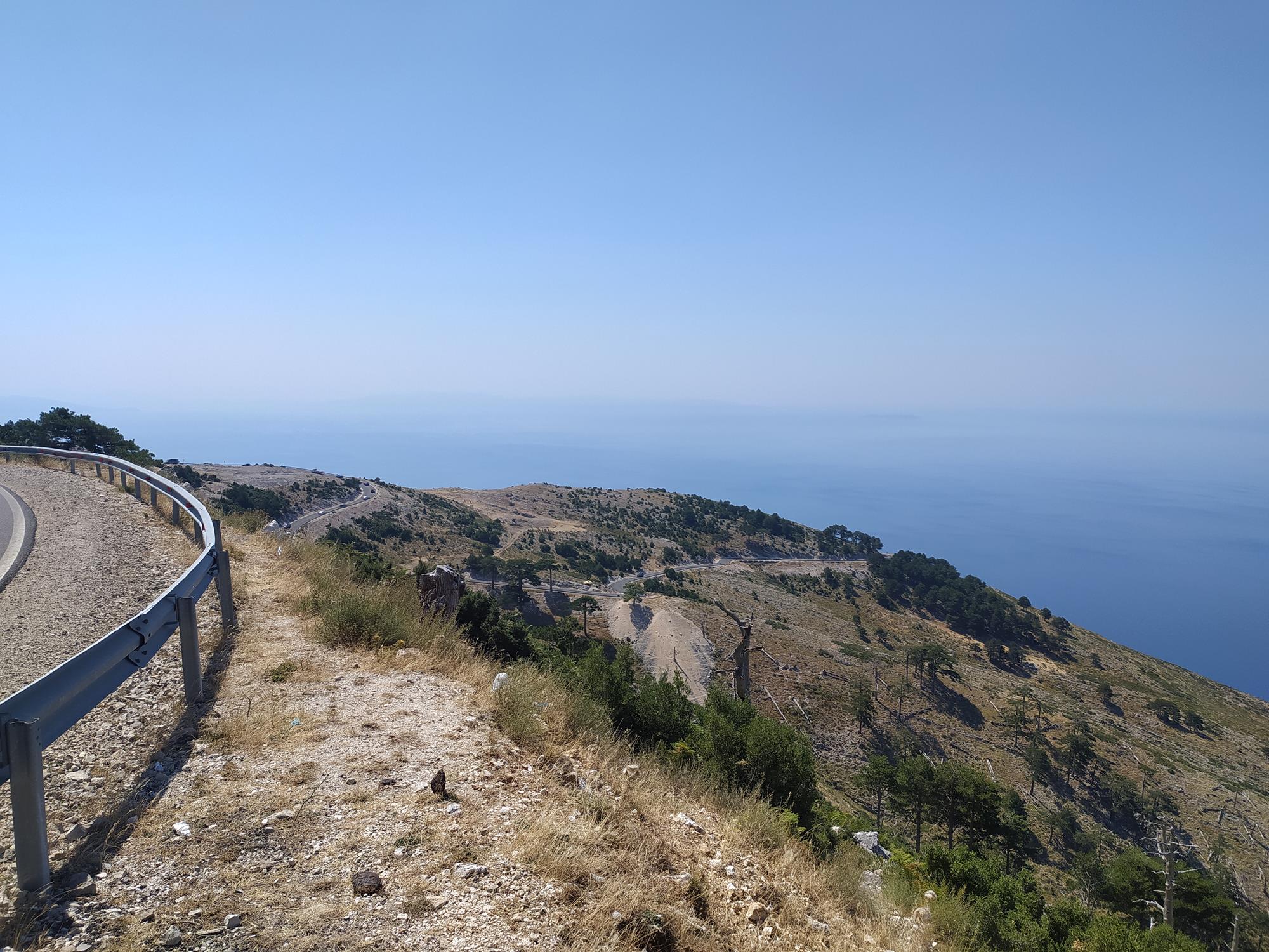 IMG_20220725_105800 (Copy).jpg