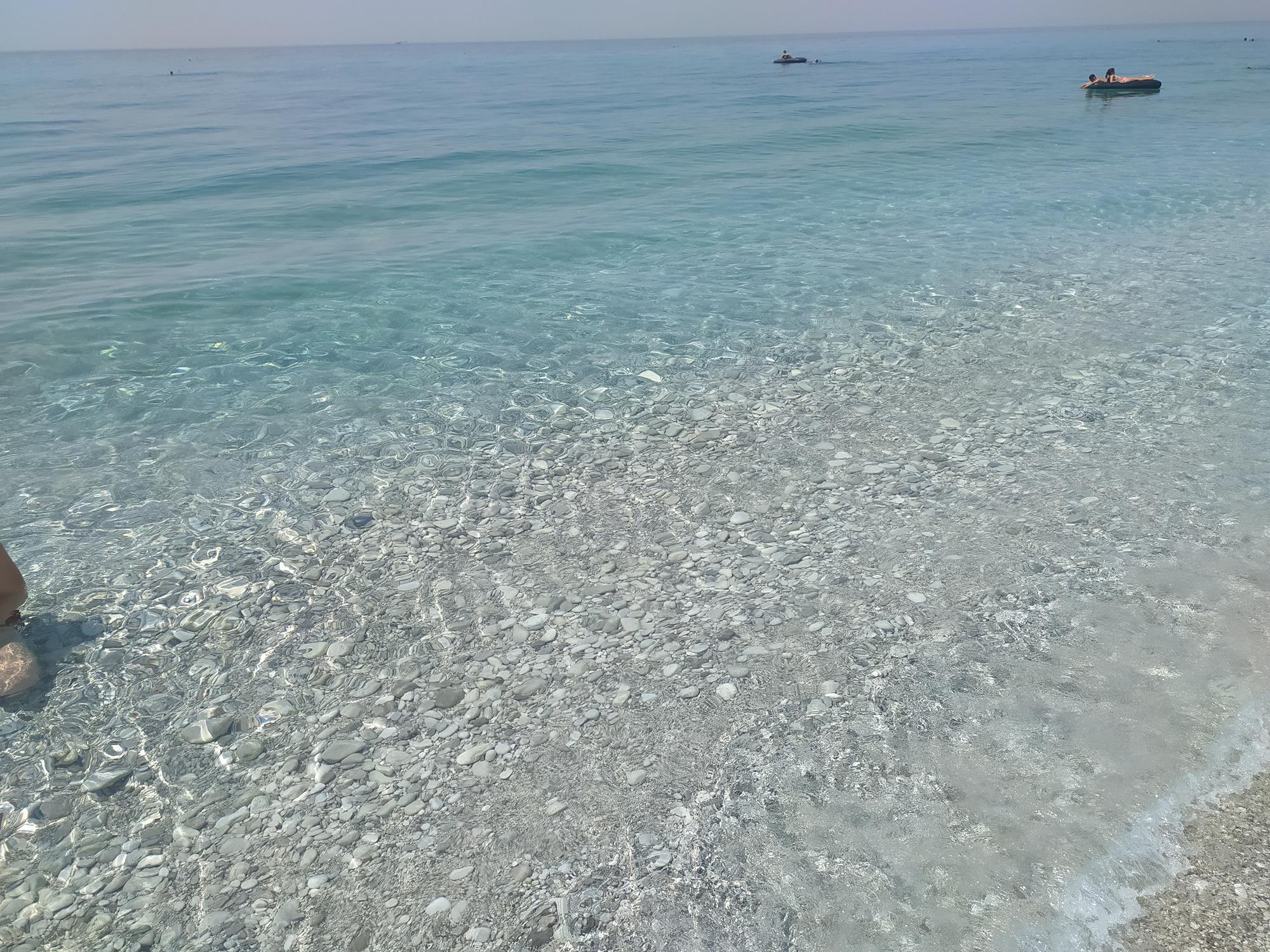 IMG_20220725_115547 (Copy).jpg