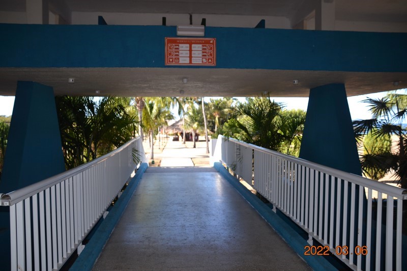 DSC_0005 (Kopiowanie).JPG