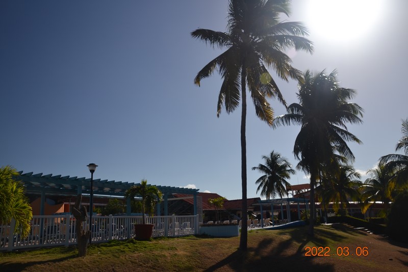 DSC_0007 (Kopiowanie).JPG