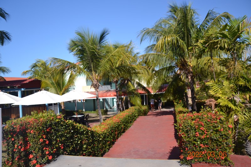 DSC_0008 (Kopiowanie).JPG