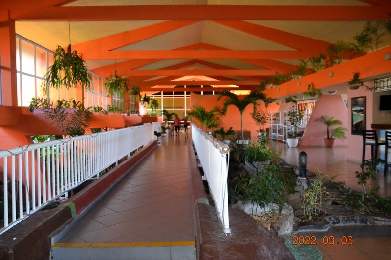 DSC_0011 (Kopiowanie).JPG