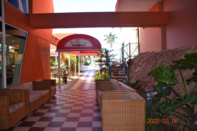 DSC_0012 (Kopiowanie).JPG